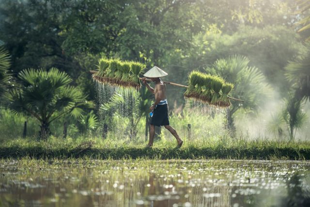 LUSTRUM IN AZIE CAMBODJA