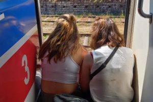 f1355829-b8b9-44d5-a54c-2d7ec36a283b